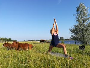 ashtanga yogales